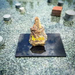 広島で出会った人に